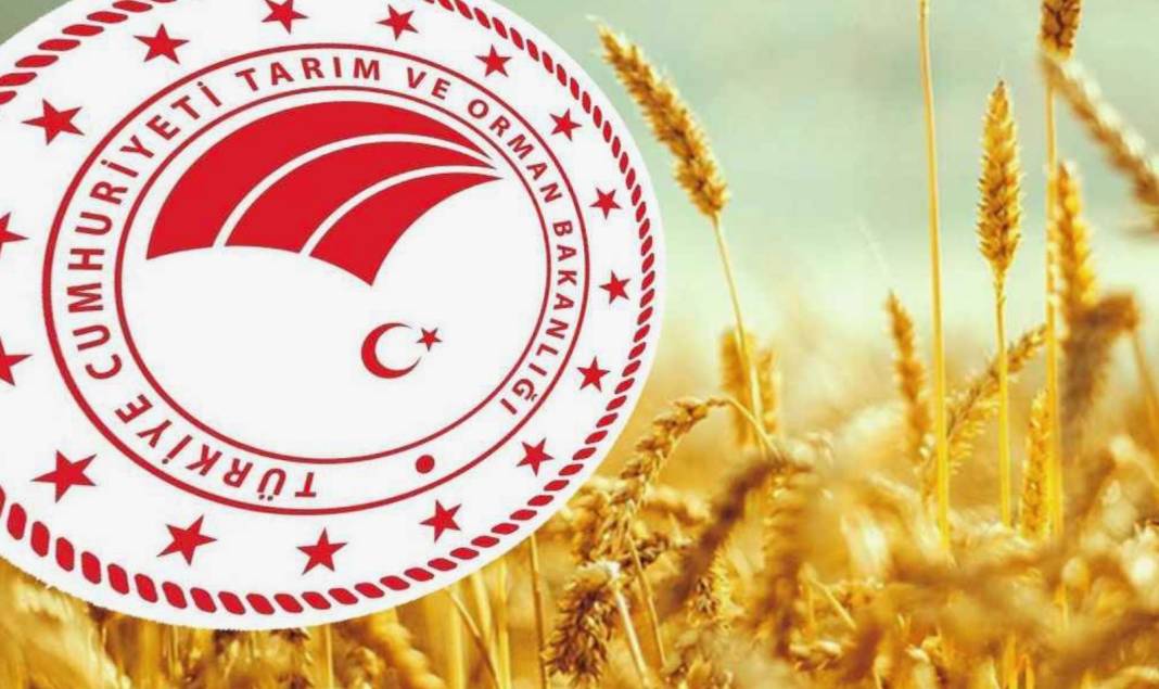 Tarım ve Orman Bakanlığı 1500 işçi alımı yapacak! Tarım ve Orman Bakanlığı işçi alımı ne zaman, şartları neler? 2